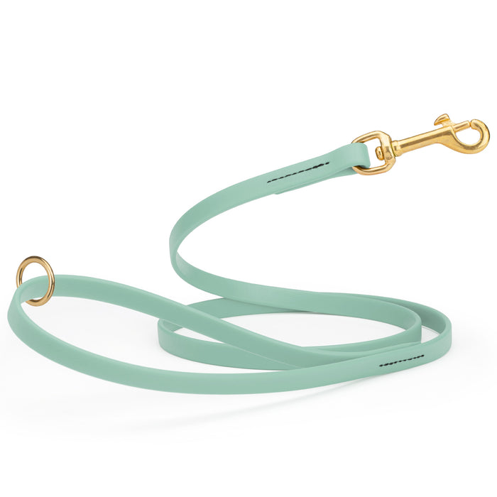 Sage Green Biothane dog leash with brass hardware, waterproof, 1/2 inches wide