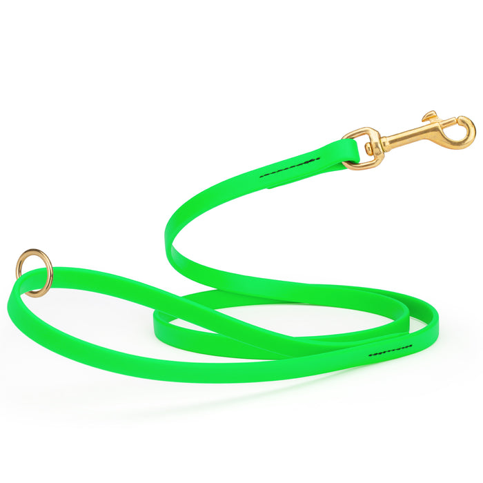 Tropical Green Biothane dog leash with brass hardware, waterproof, 1/2 inches wide