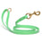 Waterproof dog leash with brass hardware, made from Biothane, 5/8 or 3/4 inches wide, Seafoam Green
