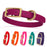Biothane dog collars with brass hardware. Magenta, red, orange, pink, blue, violet, and 20 other colors available