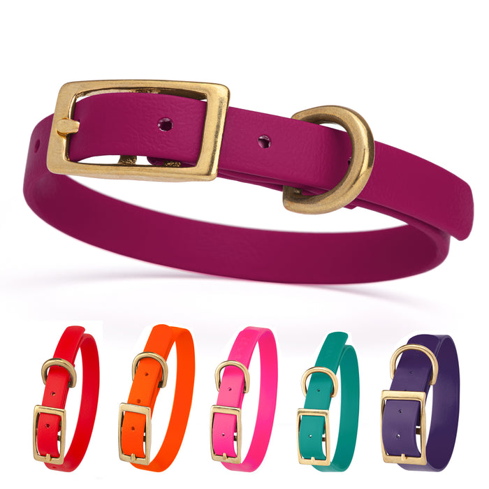 Biothane dog collars with brass hardware. Magenta, red, orange, pink, blue, violet, and 20 other colors available