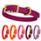 Biothane collar for dogs with brass hardware, waterproof and smell proof, size XS; magenta, red, orange, pink, burgundy, amethyst purple and 20 other color options