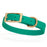 Teal Biothane dog collar for small dogs with brass hardware, 5/8 inch wide