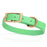 Seafoam Green Biothane dog collar for small dogs with brass hardware, 5/8 inch wide
