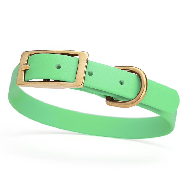 Seafoam Green Biothane dog collar for small dogs with brass hardware, 5/8 inch wide