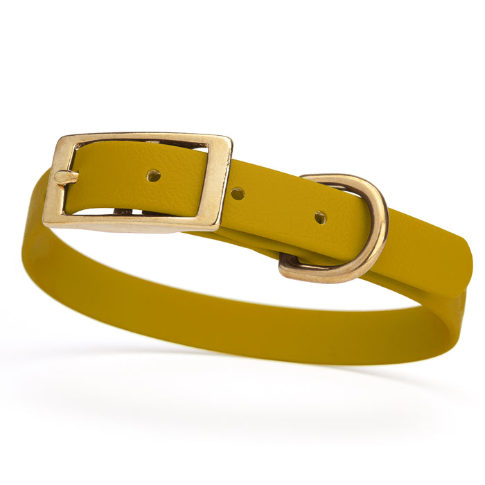 Treasure Gold Biothane dog collar for small dogs with brass hardware, 5/8 inch wide