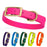 Biothane collar for dogs with brass hardware, waterproof and smell proof, size S: 12 to 15 inches; pink, violet, blue, hunter green, yellow, orange and 20 other color options