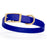 Blueberry Biothane dog collar for medium dogs, with brass buckle and D-Ring, 3/4 inch wide