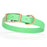 Seafoam Green Biothane dog collar for medium dogs, with brass buckle and D-Ring, 3/4 inch wide