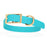 Waterproof Biothane dog collar for large dogs, brass hardware, 1 inch wide, Sky Blue 