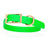 Tropical Green Waterproof Biothane dog collar for large dogs, brass hardware, 1 inch wide,