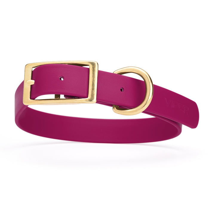 Waterproof Biothane dog collar for large dogs, brass hardware, 1 inch wide, Magenta Pink 