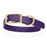 Waterproof Biothane dog collar for large dogs, brass hardware, 1 inch wide, Violet Purple 