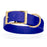 Blueberry Biothane dog collar for extra large breeds, brass buckle and D-ring, 1.5 inches wide