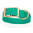 Teal Biothane dog collar for extra large breeds, brass buckle and D-ring, 1.5 inches wide