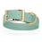 Sage Green Biothane dog collar for extra large breeds, brass buckle and D-ring, 1.5 inches wide
