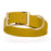 Treasure Gold Biothane dog collar for extra large breeds, brass buckle and D-ring, 1.5 inches wide