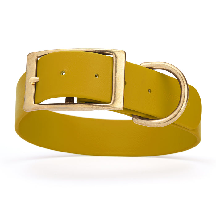 Treasure Gold Biothane dog collar for extra large breeds, brass buckle and D-ring, 1.5 inches wide