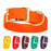Biothane collars for dogs with brass hardware, waterproof and smell proof, 1.5 in wide, size L: 16 to 20 inches; orange, yellow, red, burgundy, teal, violet and 20 other color options