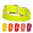 Biothane collar for dogs with brass hardware, waterproof and smell proof, 1.5 in wide, size XL: 20 to 24 inches; safety yellow, lemon, orange, red, coral, magenta and 20 other color options