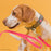 Viper Pebble Emboss BioThane Dog Leash with Solid Brass Hardware