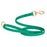 Teal Biothane dog leash with pebbled coating, brass clip and O-ring, 5-foot long