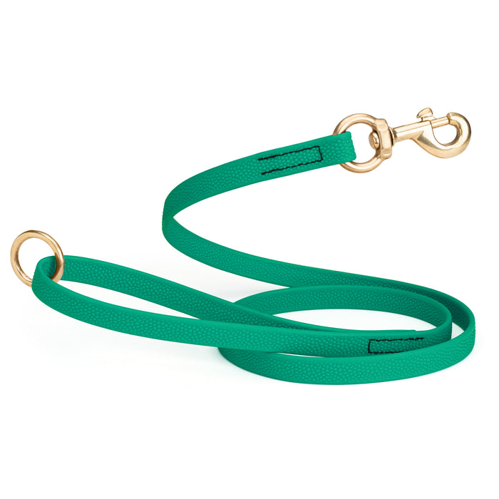 Teal Biothane dog leash with pebbled coating, brass clip and O-ring, 5-foot long