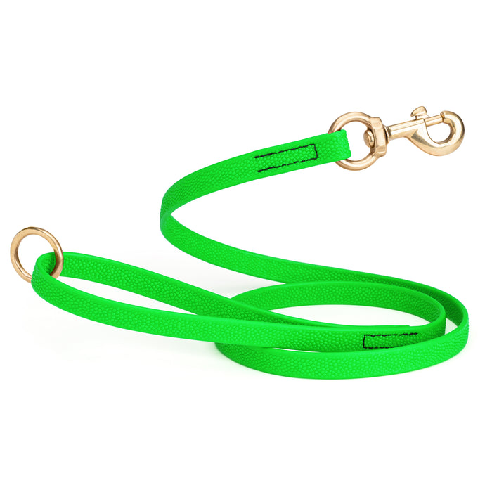 Tropical Green Biothane dog leash with pebbled coating, brass clip and O-ring, 5-foot long