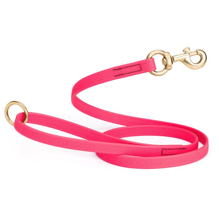 Viper Pebble Emboss BioThane Dog Leash with Solid Brass Hardware