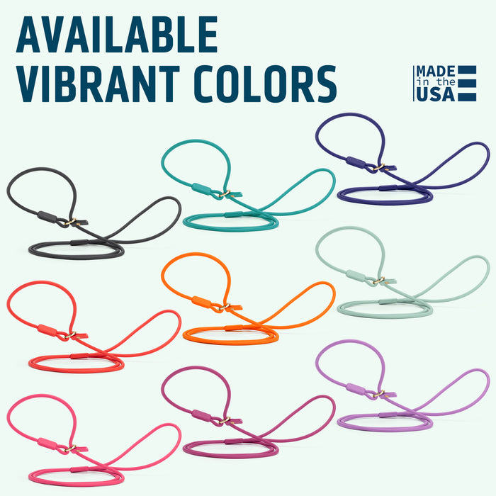 Viper Round Biothane Slip Lead with Brass Hardware