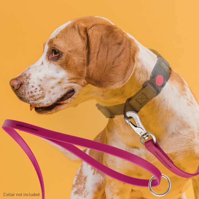 Viper Biothane Dog Leash with SPRENGER Stainless Steel Hook