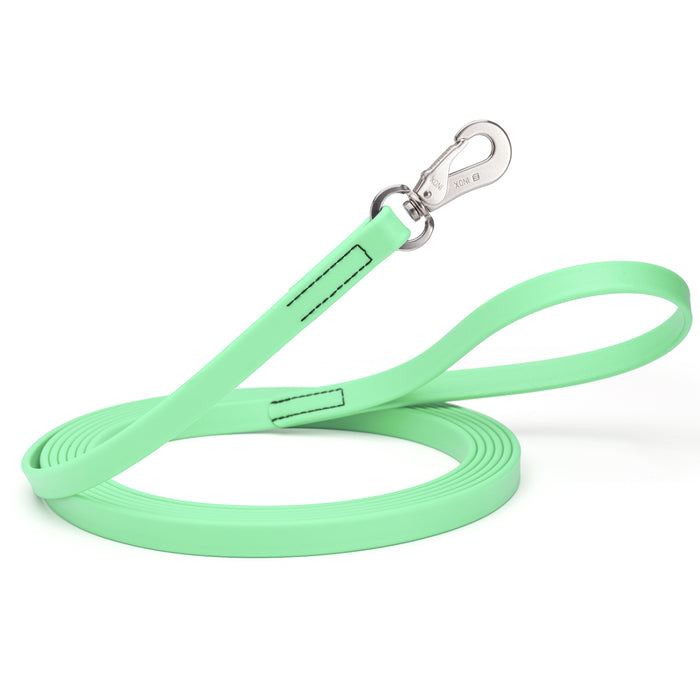 10ft or 15ft Seafoam Green Biothane dog leash with stainless steel hook, 5/8 inch wide