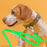 Viper Long Line 15 ft Biothane Dog Lead with SPRENGER Stainless Steel Hook