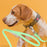 Viper Long Line 20 ft Biothane Dog Lead with SPRENGER Stainless Steel Hook