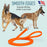 Viper Long Line 33 ft Biothane Dog Lead with SPRENGER Stainless Steel Hook