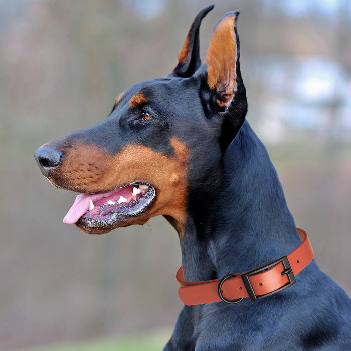 Biothane Waterproof Collar - Wide - L (16 to 20 inches)