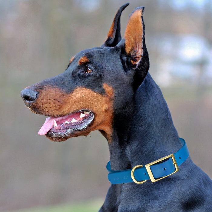 Viper Biothane Waterproof Dog Collar - Brass Hardware - Size M (15 - —  Dogline