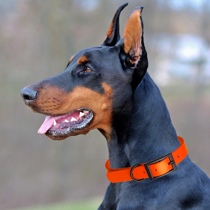 Biothane Waterproof Collar - Wide - XXL (24 to 28 inches)