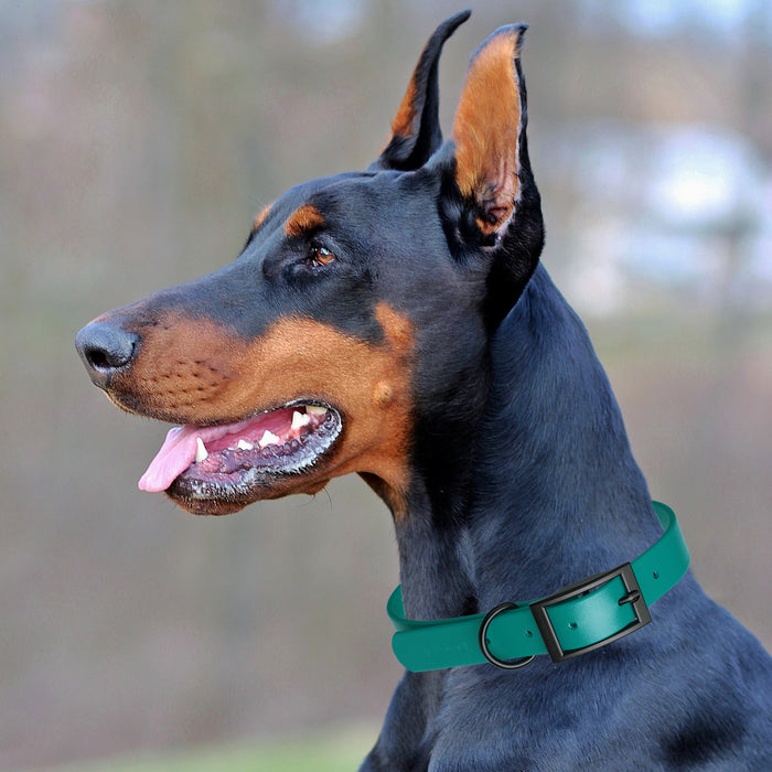Biothane Waterproof Collar - XL (22 to 25 inches)