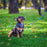 Soft Leather Round Dog Lead