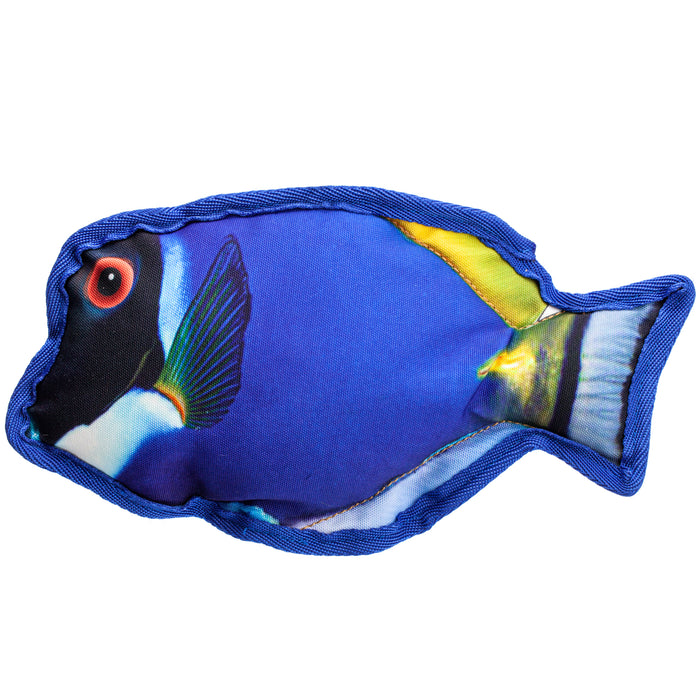 Floating in water dog toy with a squeaker, blue tang fish