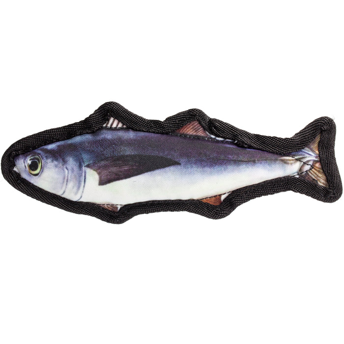Tropical Trout small dog toy with a squeaker