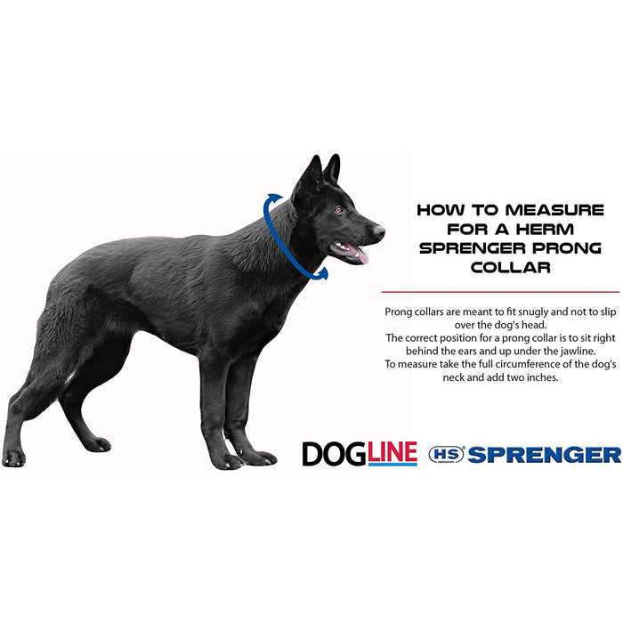 Herm Sprenger Black Stainless Steel Prong Dog Training Collar with Swivel