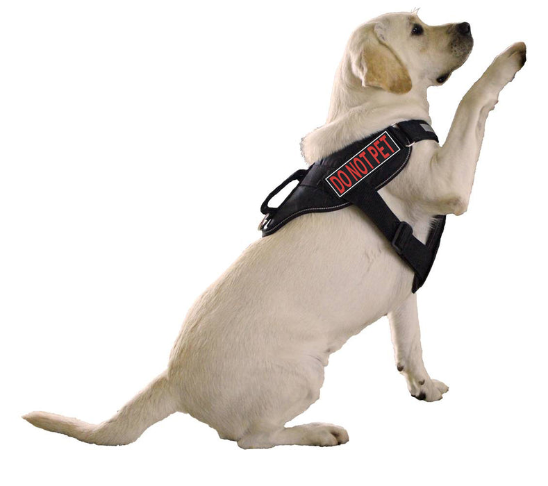 Dogline 3D Rubber Removable Patches for Dog Harness and Vest