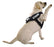 Dogline 3D Rubber In Training Removable Patches for Dog Harness and Vest