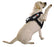 Dogline 3D Rubber Therapy Dog Removable Patches for Dog Harness and Vest