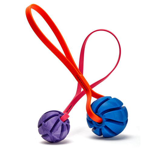 Ball dog toy with waterproof easy grip handle