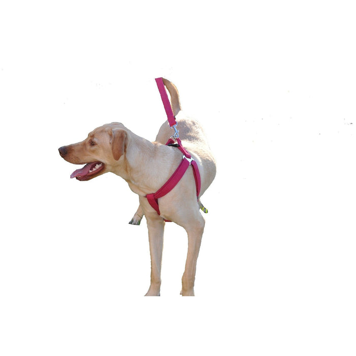 Comfort Microfiber Flat Dog Step-In Harness