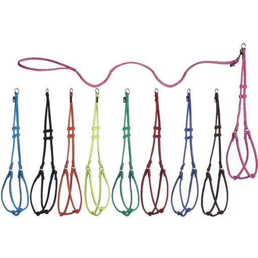 Soft fabric round harness and leash for dogs set, nine different colors, three girth sizes