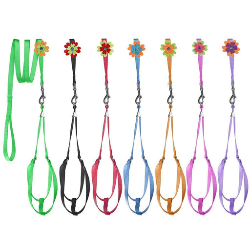 Nylon set for dogs: step-in harness + nylon leash and optional flower, seven different colors